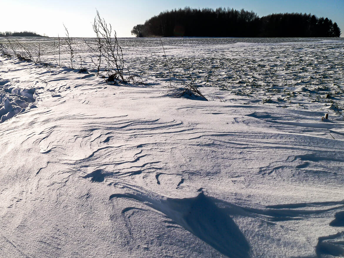 Une belle étendue hivernale