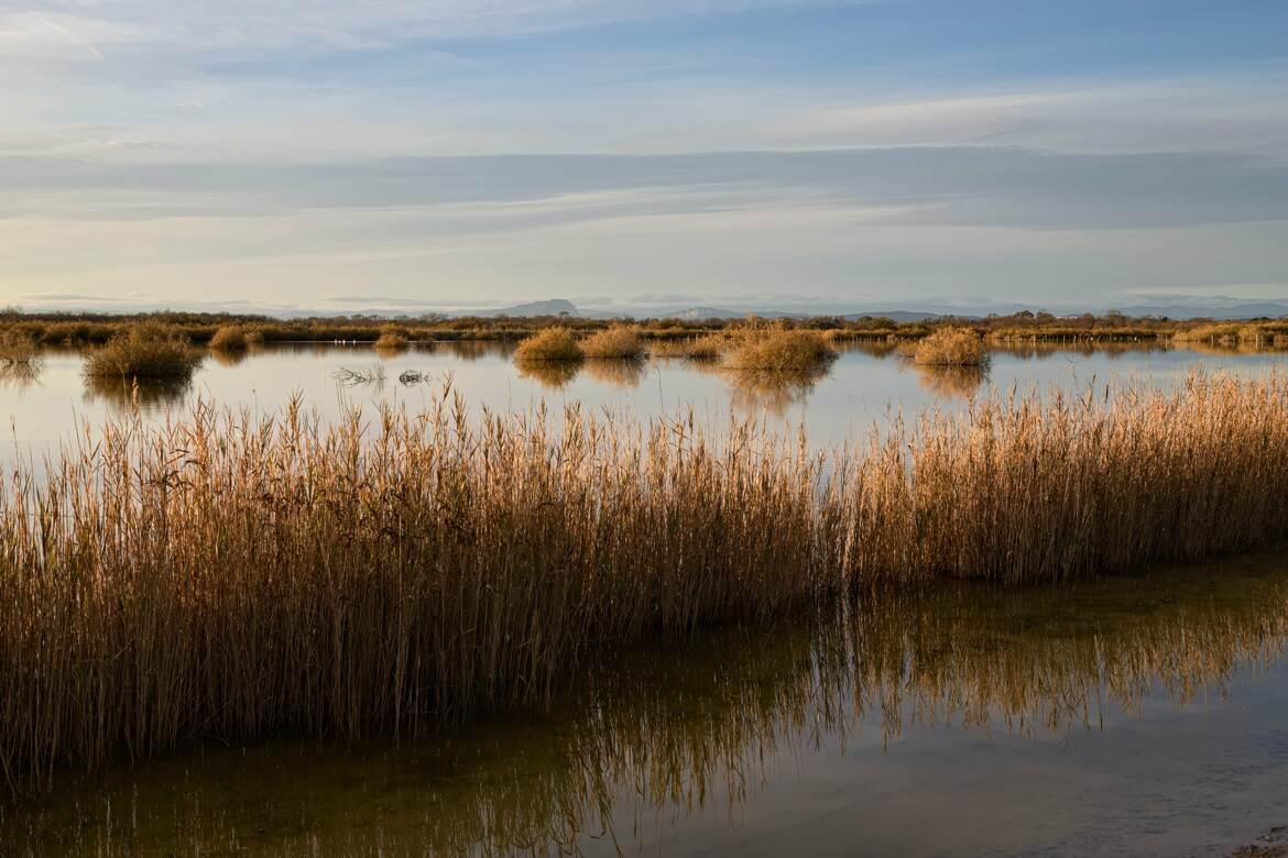 Reflets d'automne