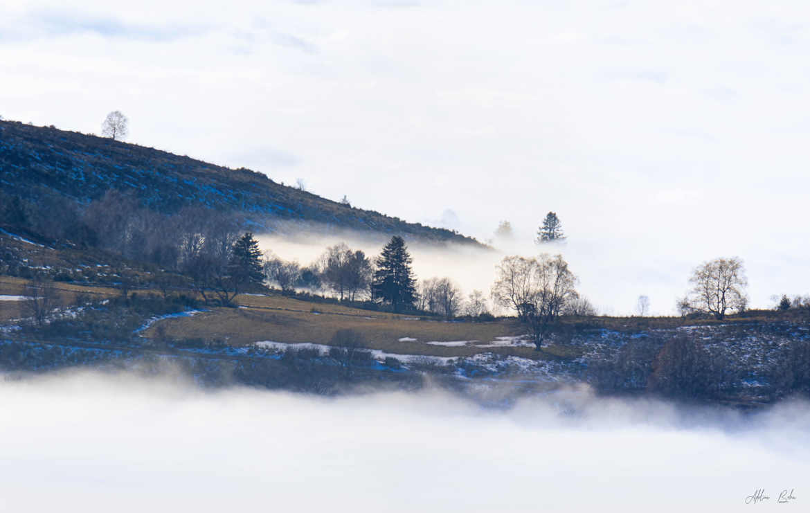 paysage hivernal