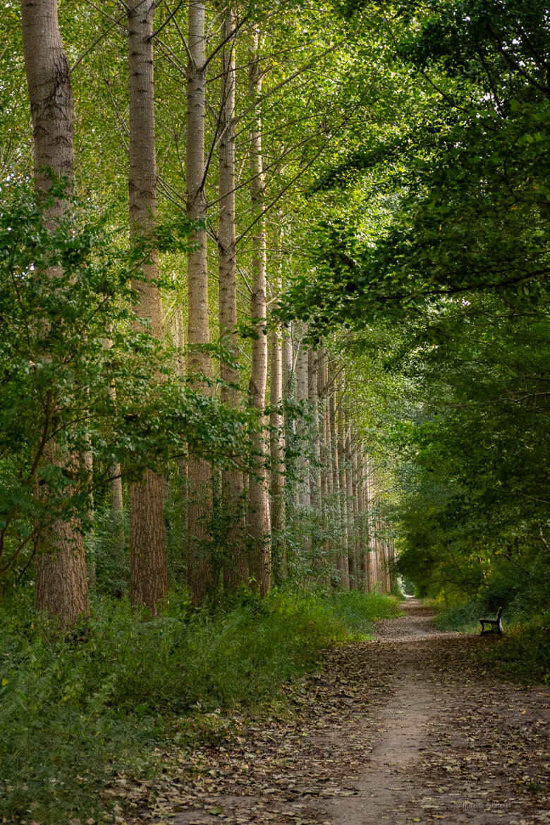 Le sentier nature