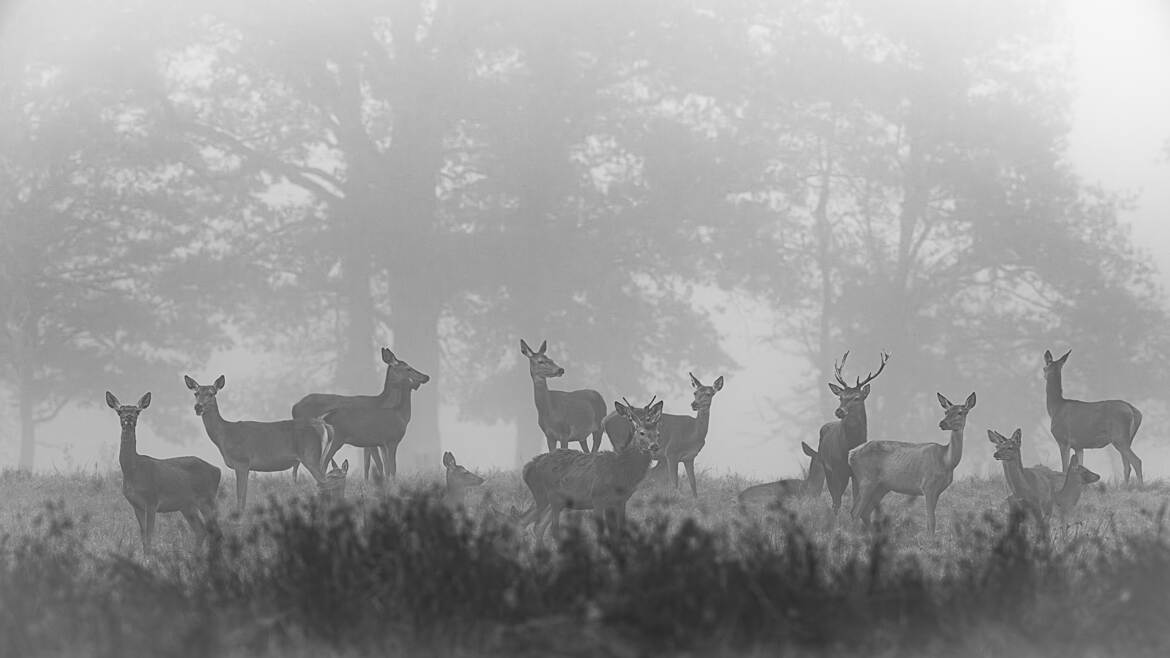 Photo de famille