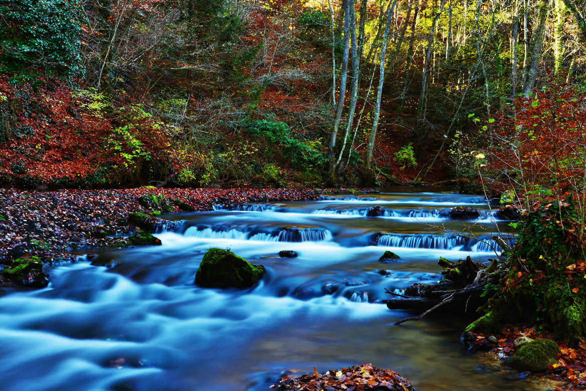 Rivière enchantée