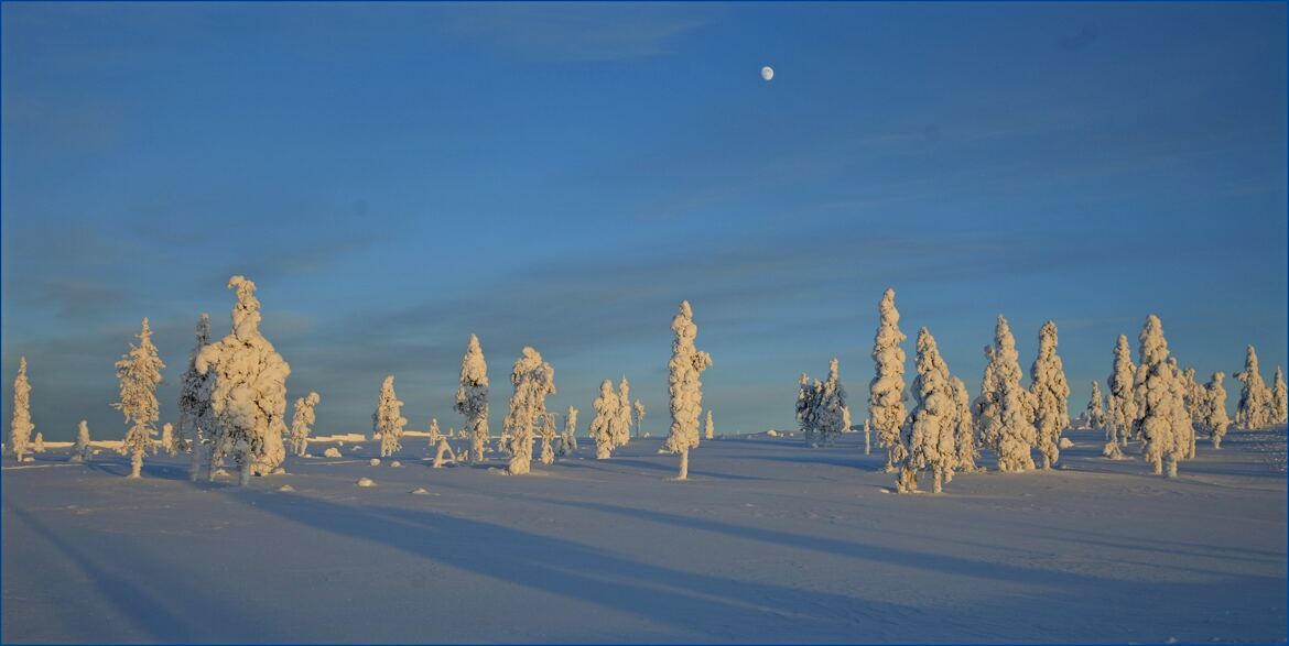 paysage arctique