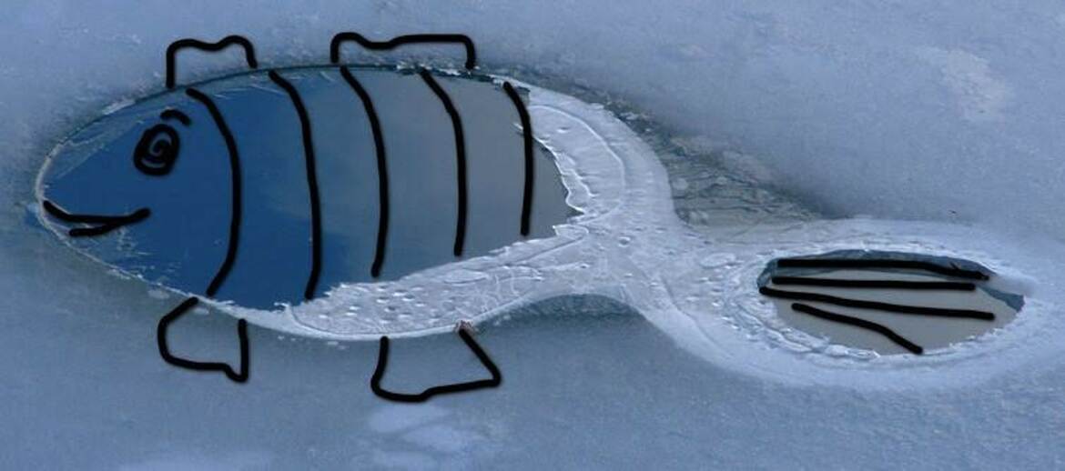 Dérive sur ma photo d'hier...