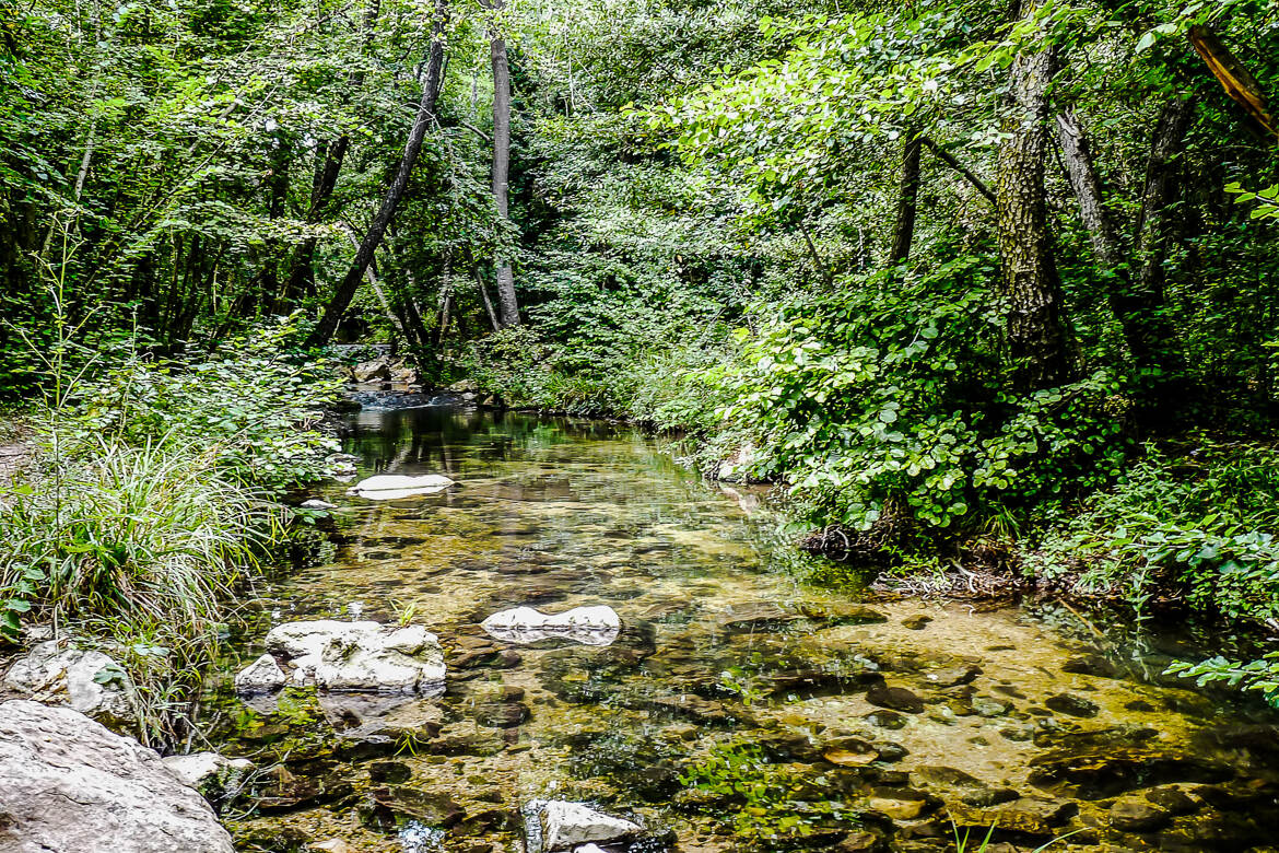 Rivière très calme