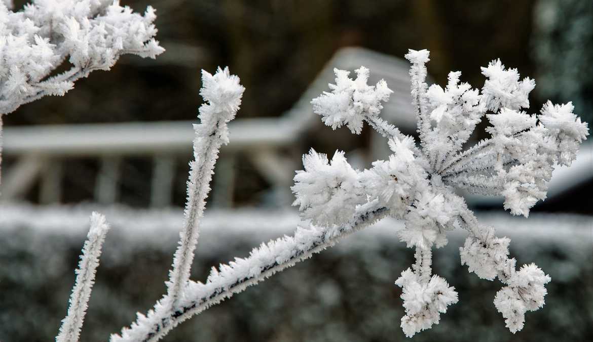 Givre 2