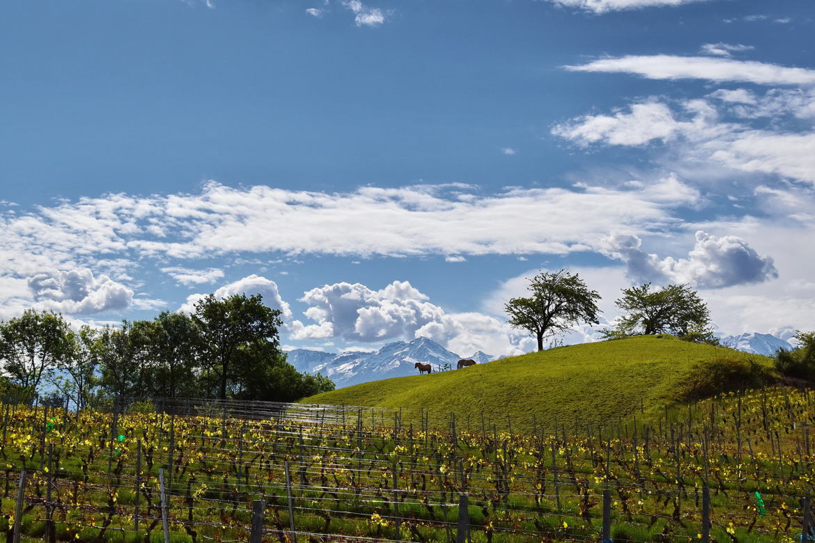 Sur la colline