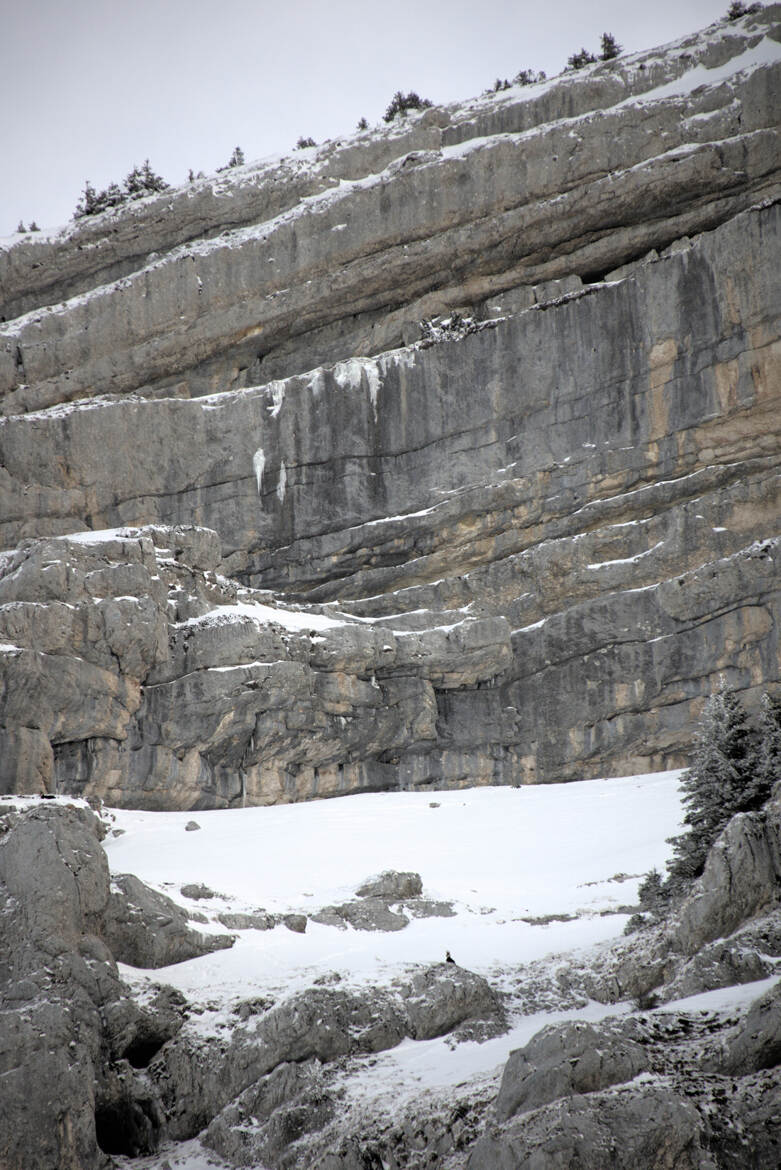 îl surveille son royaume