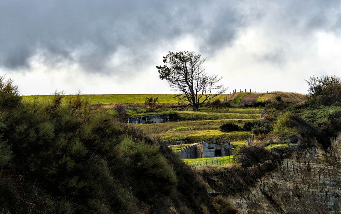 Terrasses ensoleillées