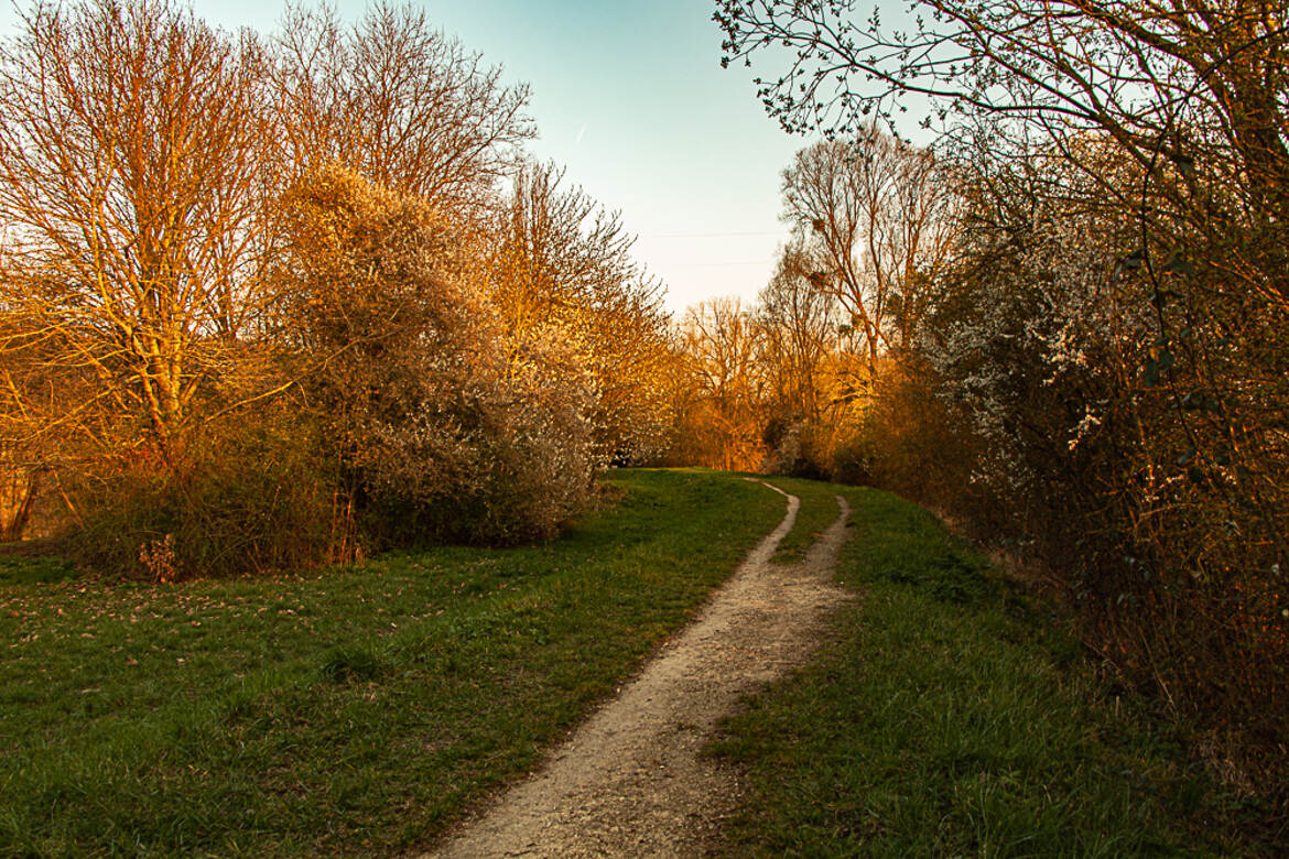 le petit chemin H