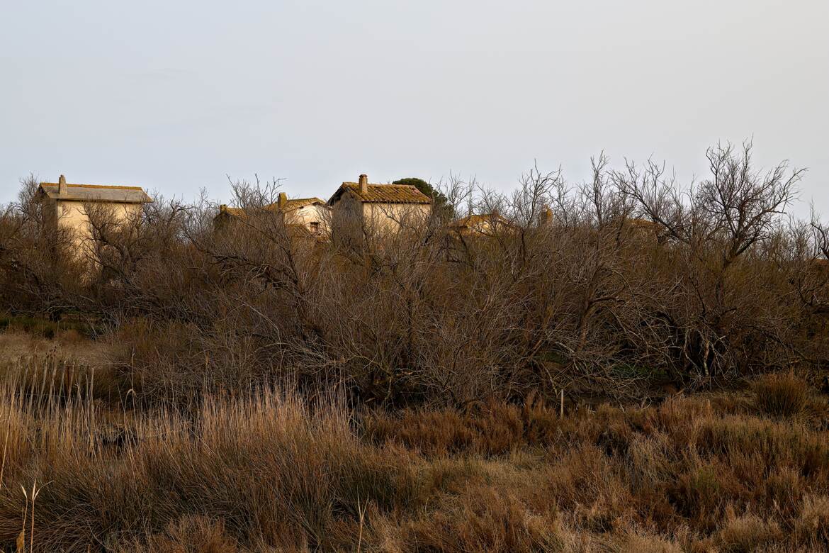 Les cabanes dans le bois