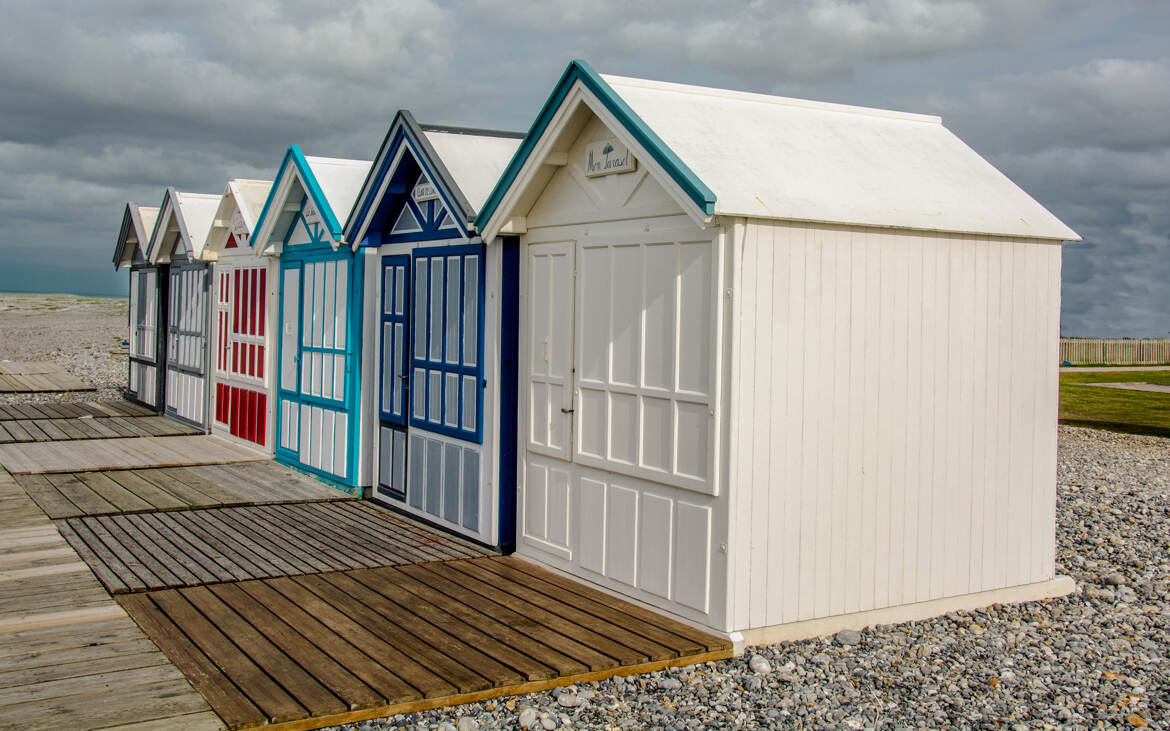 Multicolore aux choix.