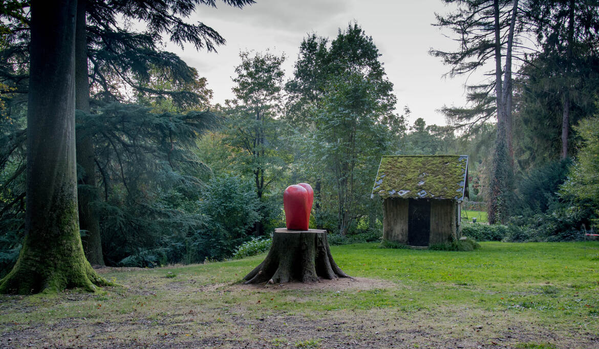 Le cœur de l'arbre en souffrance