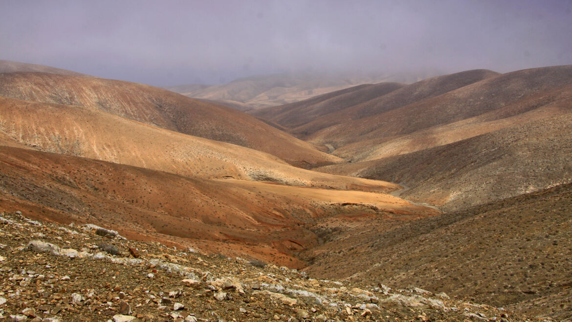 et au milieu coulait une rivière