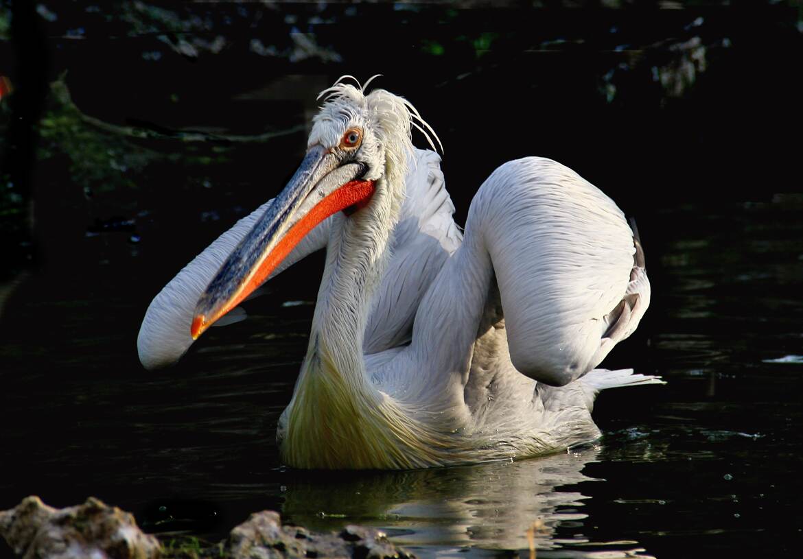 face à face serein.