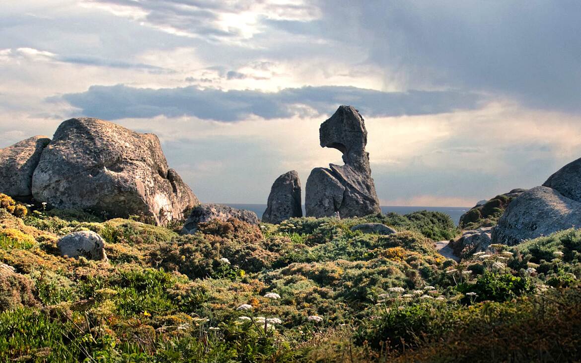 Statue de granit !