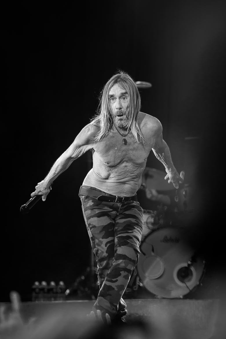 Iggy Pop