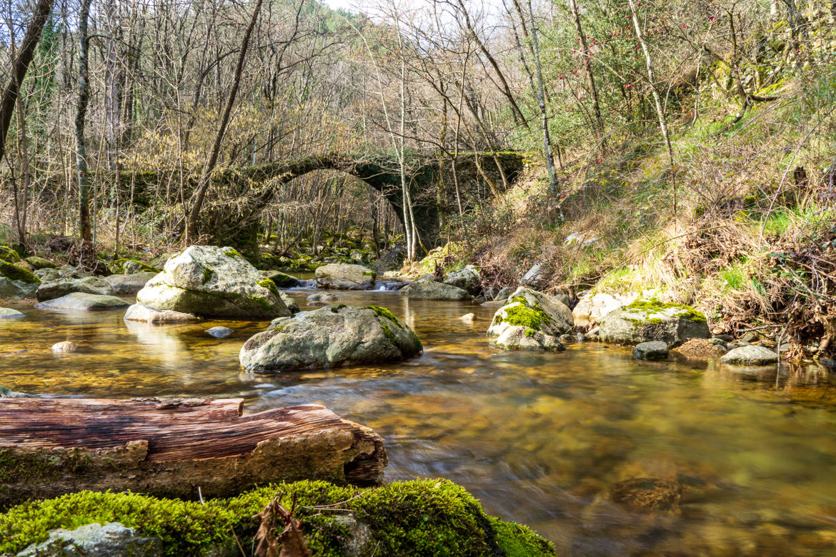 Le petit pont oublié