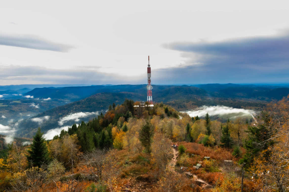 Un paysage de couleurs