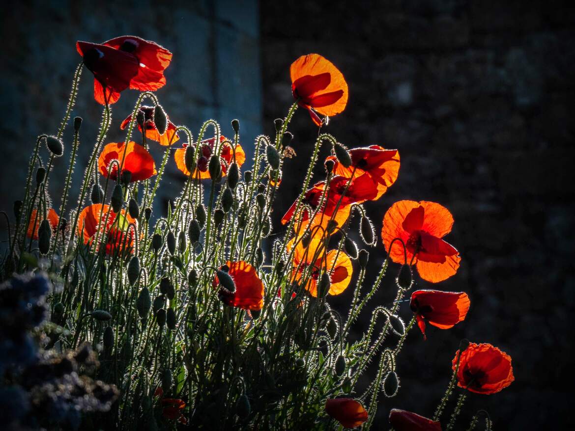 Lumière d un jour nouveau