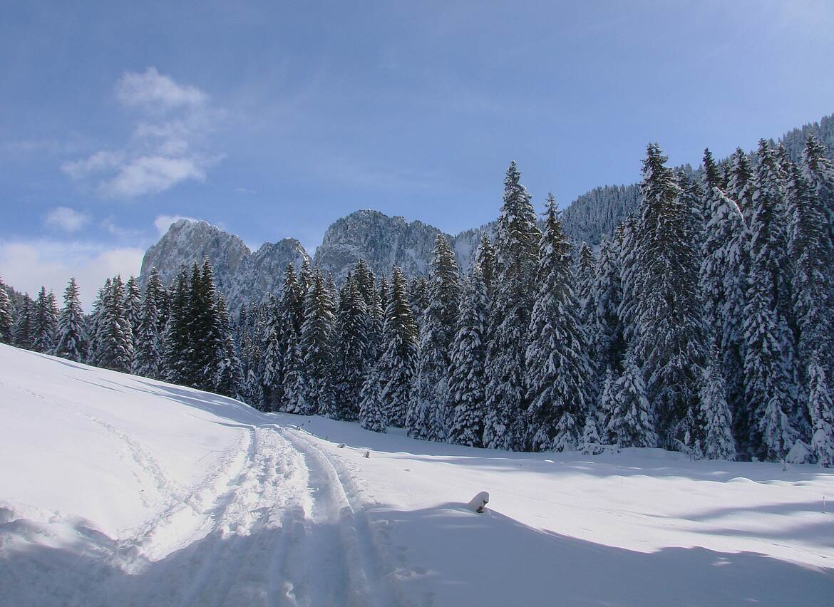 Le plus facile c'est tout droit