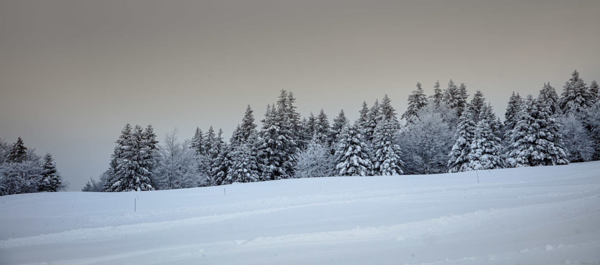 Paysage hivernal