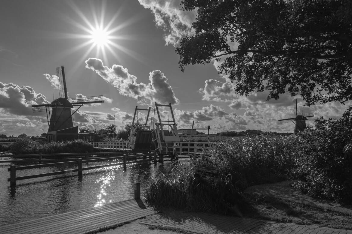 Fin de journée sur les moulins de Kinderdijk