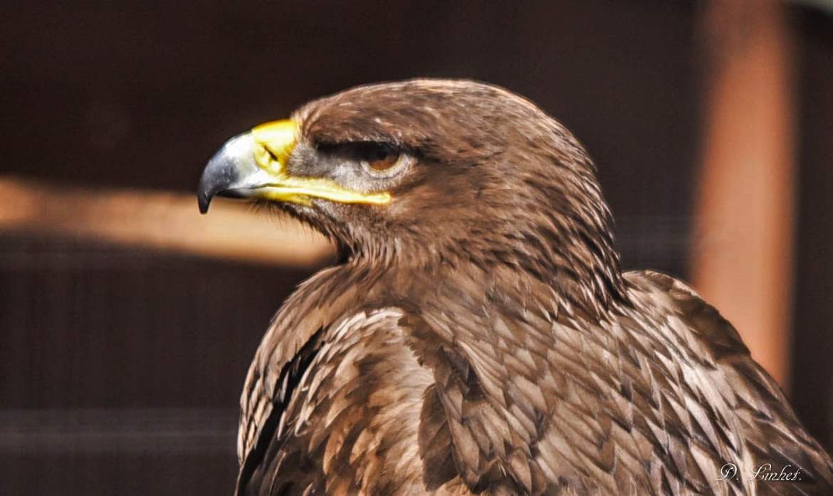 Qu'est ce quelle à ma gueule?