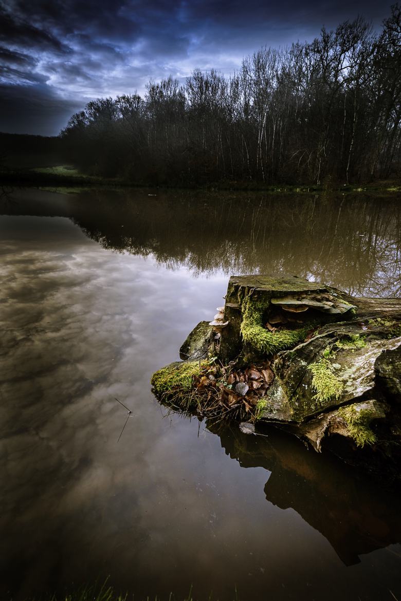 Des champi sur l'eau