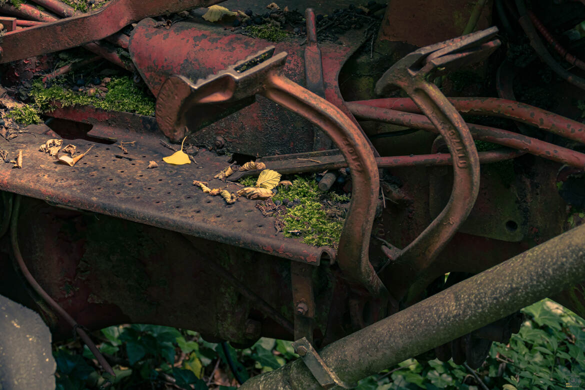 Abandonné en foret