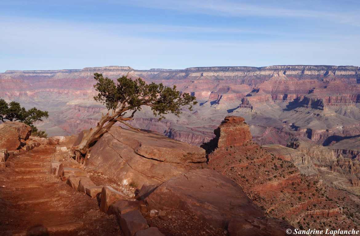 (Sur)vie en milieu aride