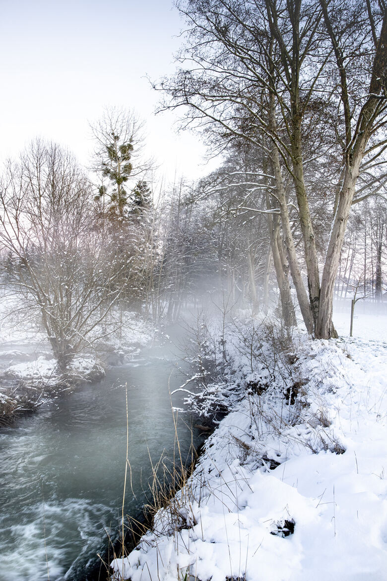 Froid de brume