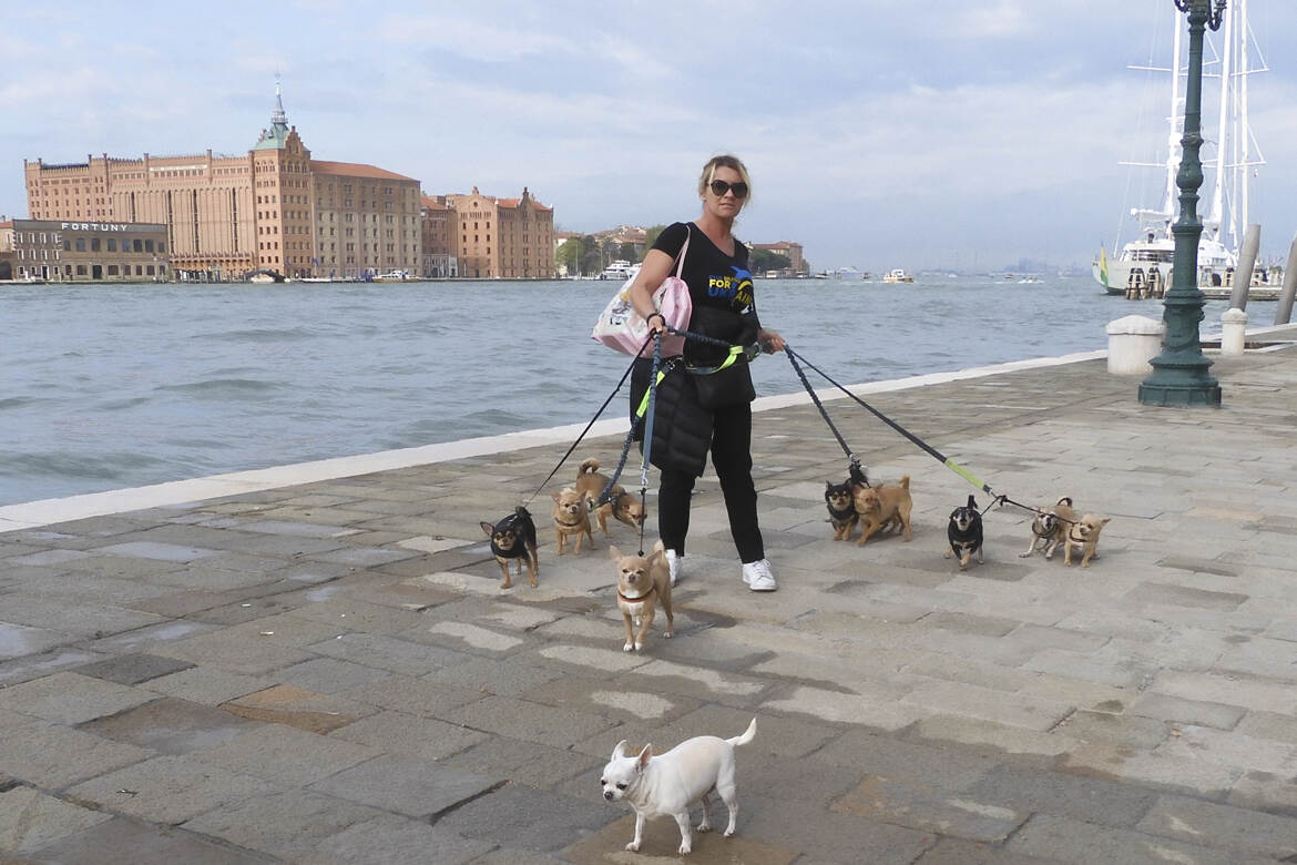 Technichienne de promenade ou promeneuse canine