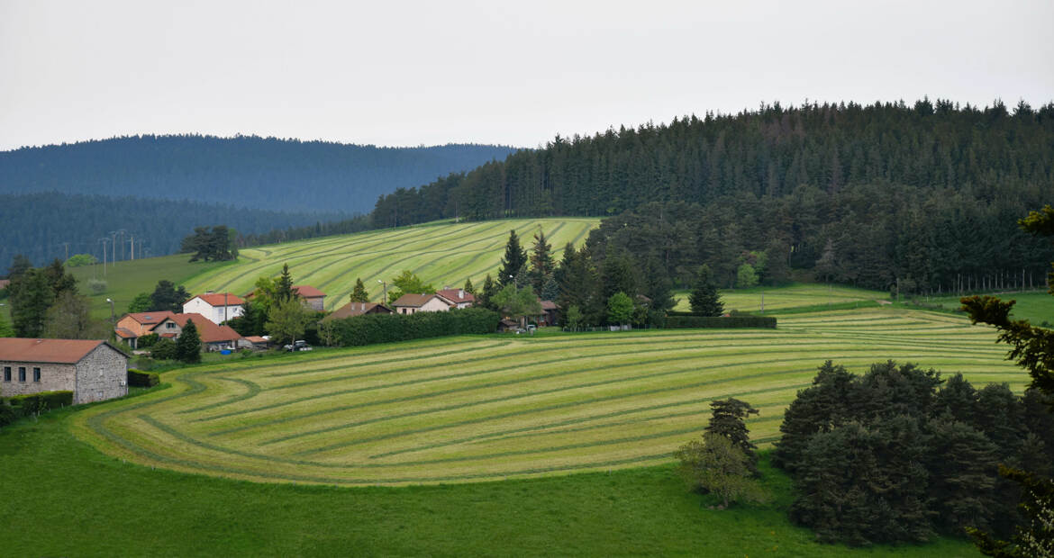 Graphisme agricole