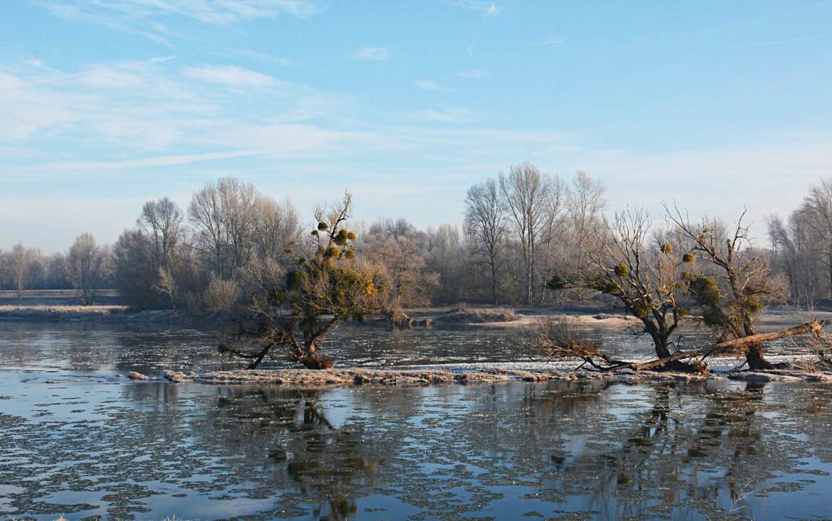 Carte postale de la Loire et ses glaçons