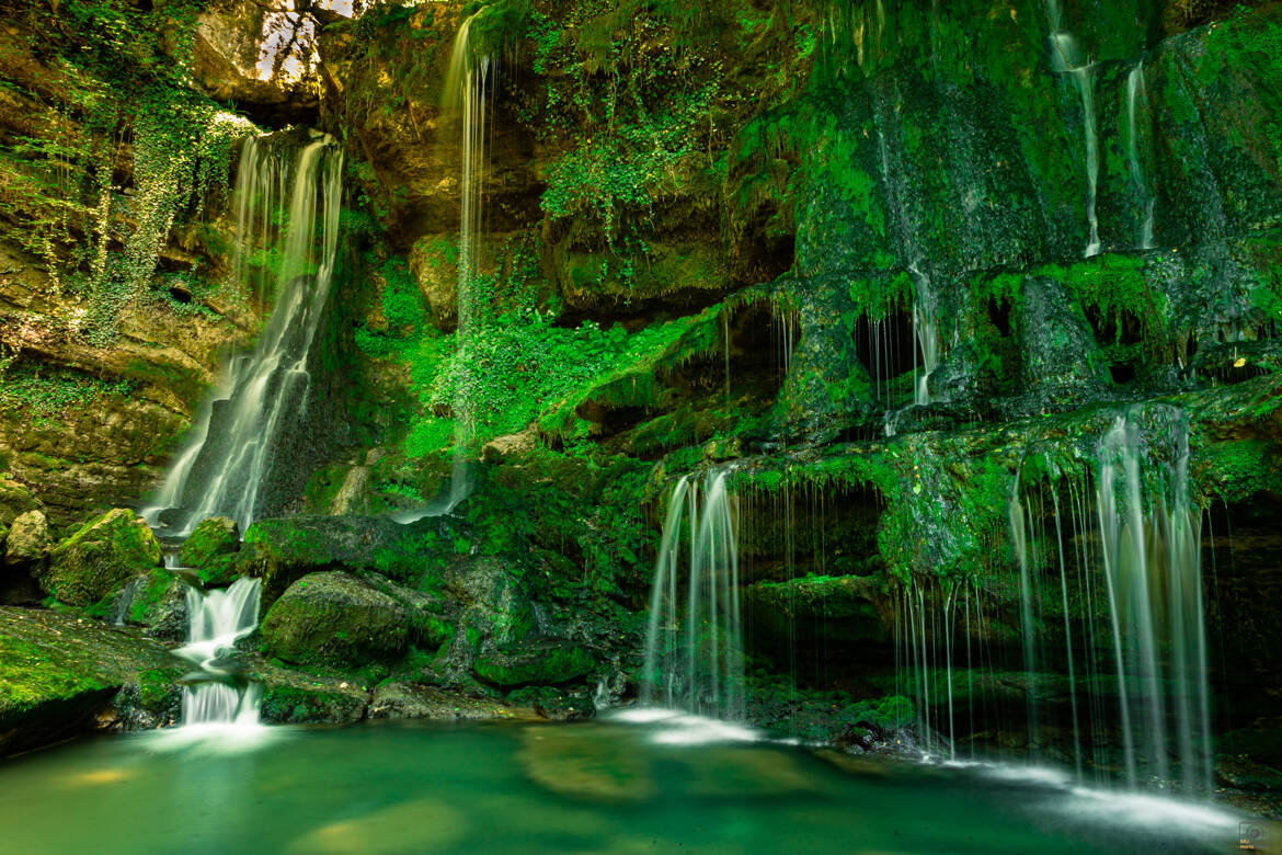 Ambiance tropicale