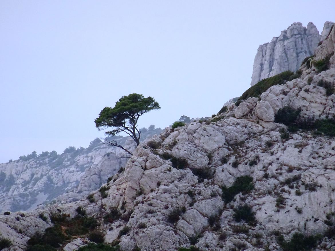 Du haut des collines (4) mistral perdant