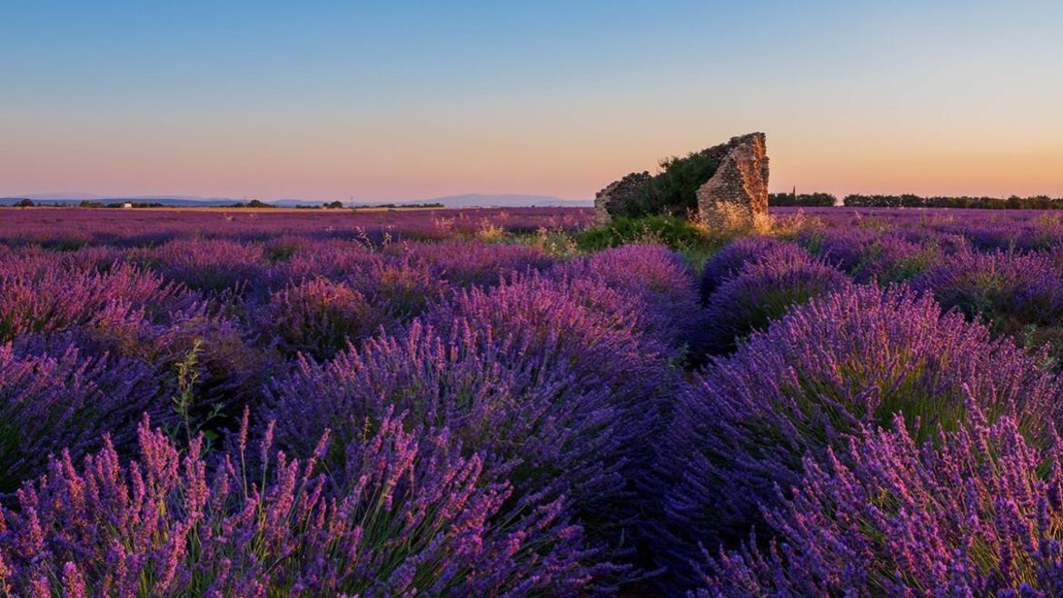 La petite maison dans la prairie