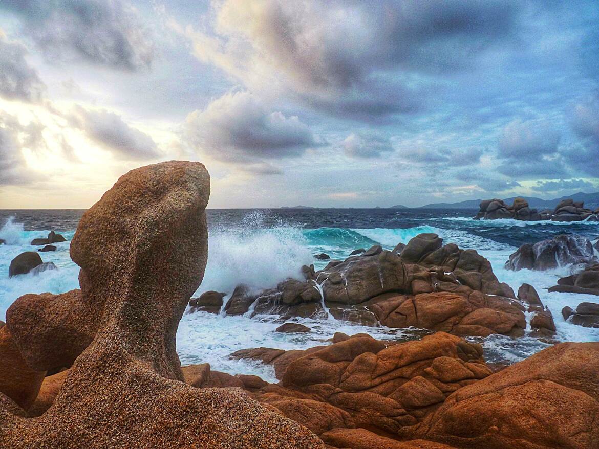 Fascinante et indomptable