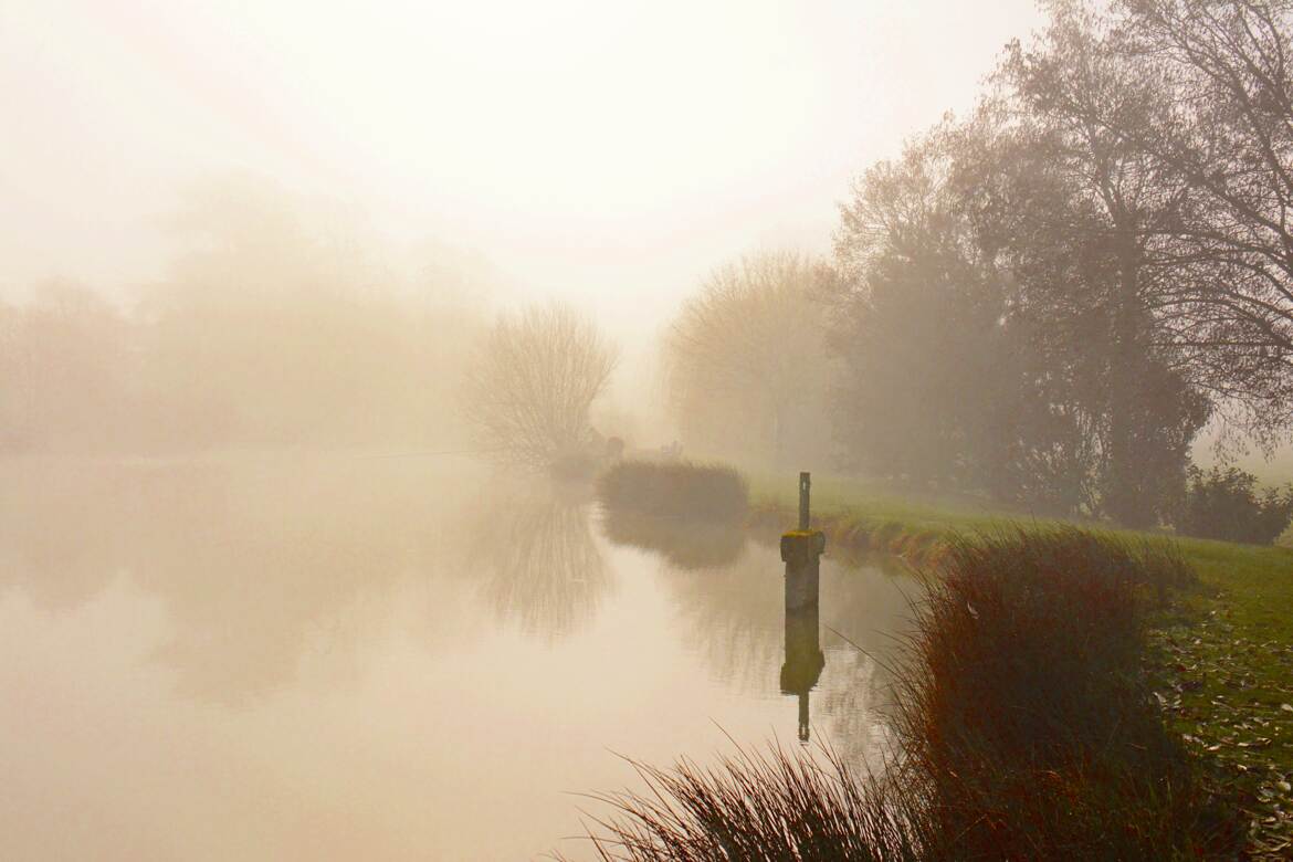 Un matin brumeux de mars