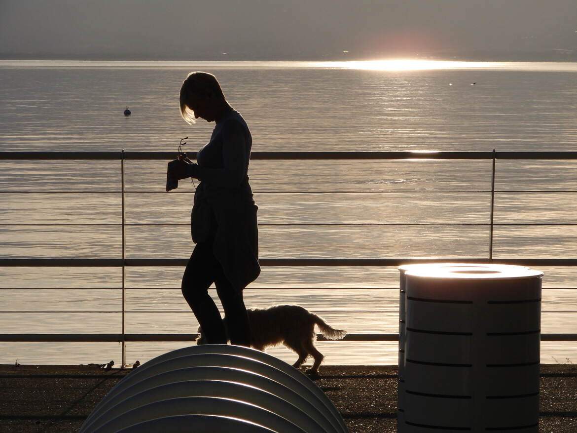 A l'heure des silhouettes