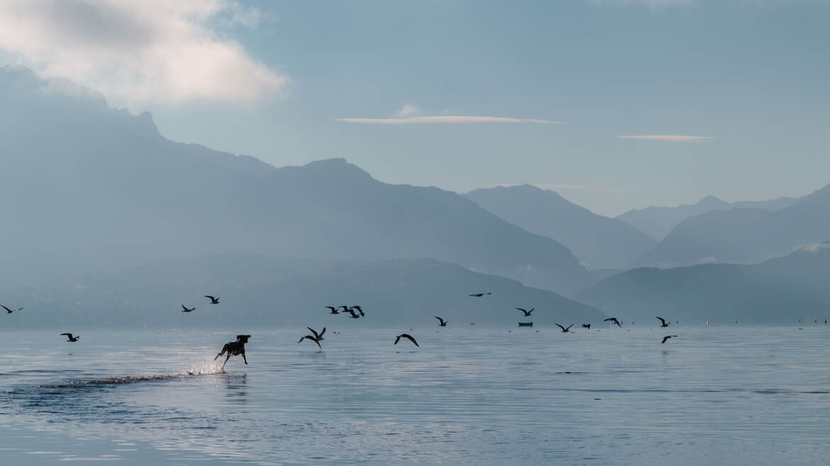Il marche sur l'eau