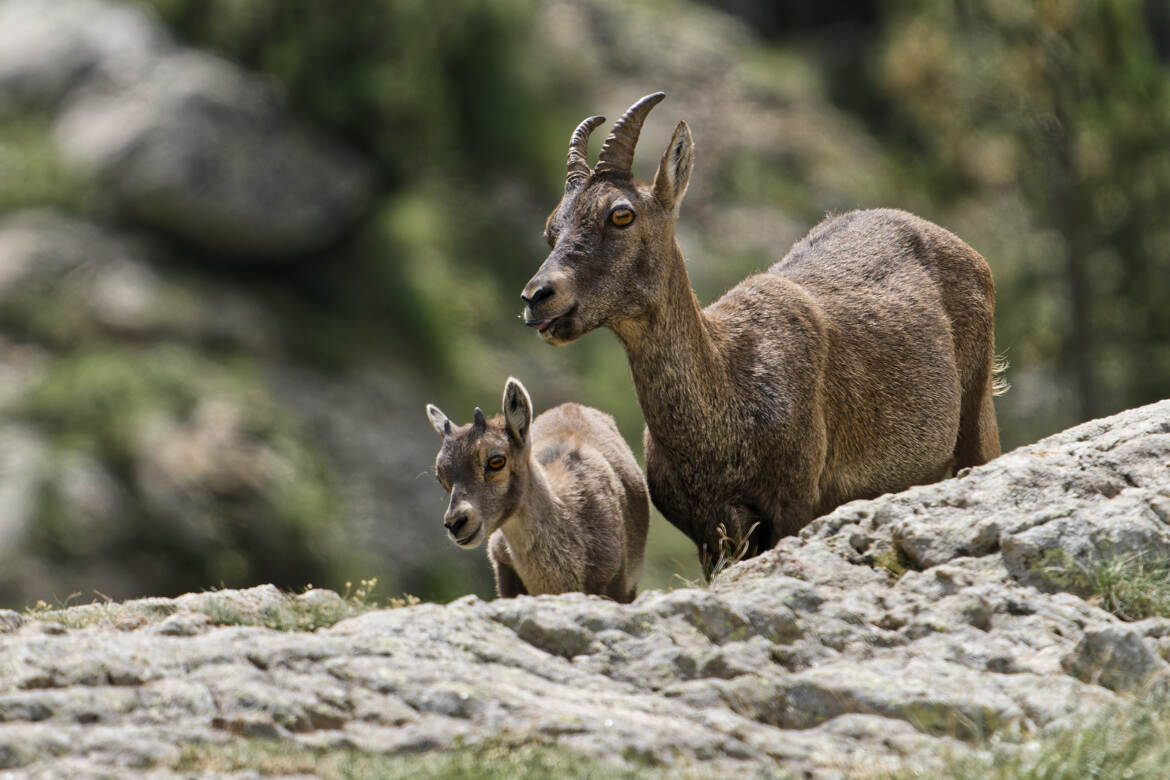 Portrait de famille