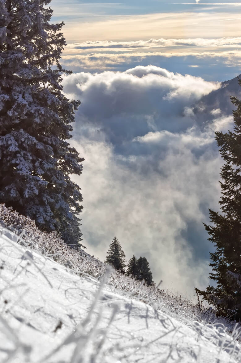 premières neiges