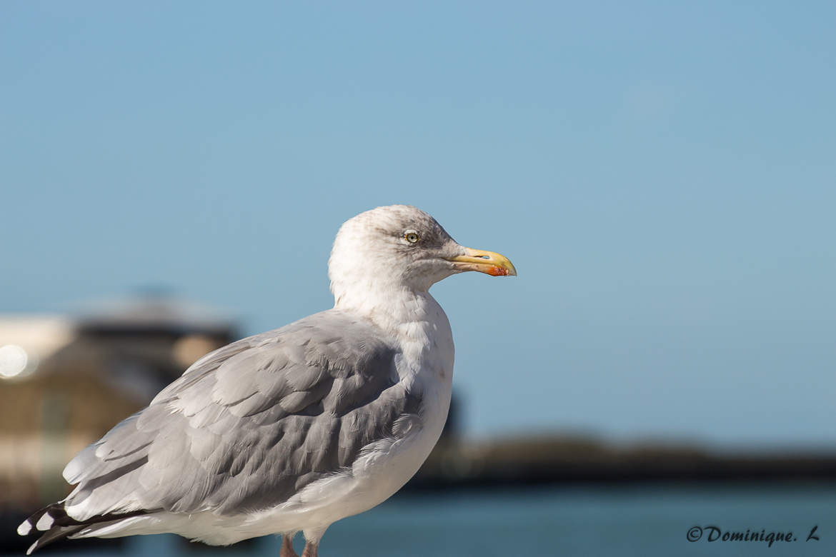 Regard vers le large !