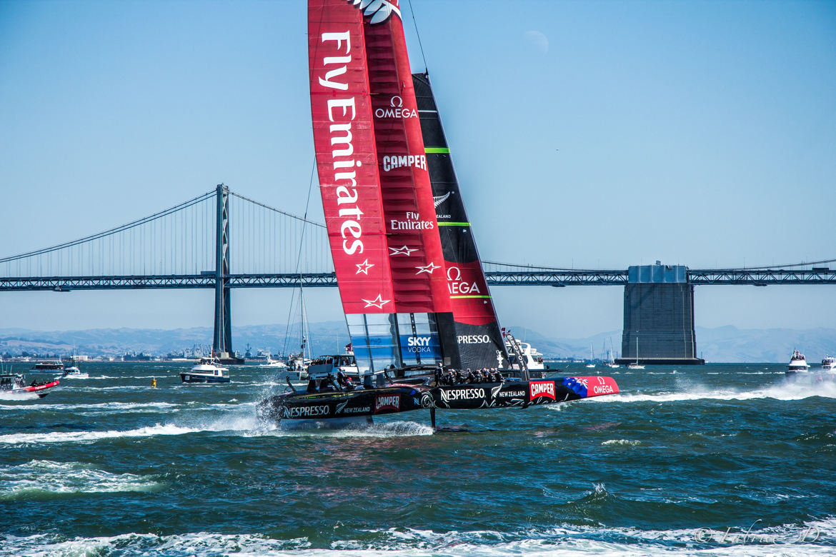 America's cup SF