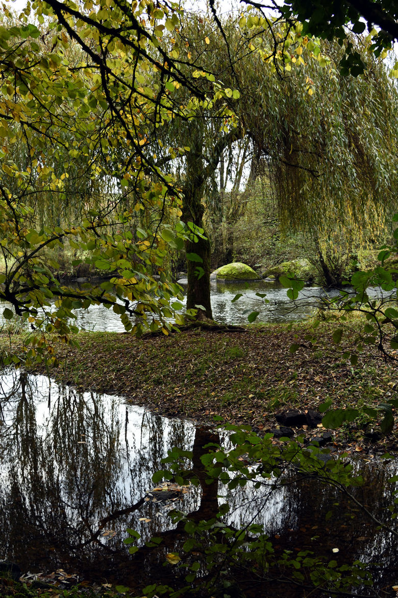 reflet sur la sèvre