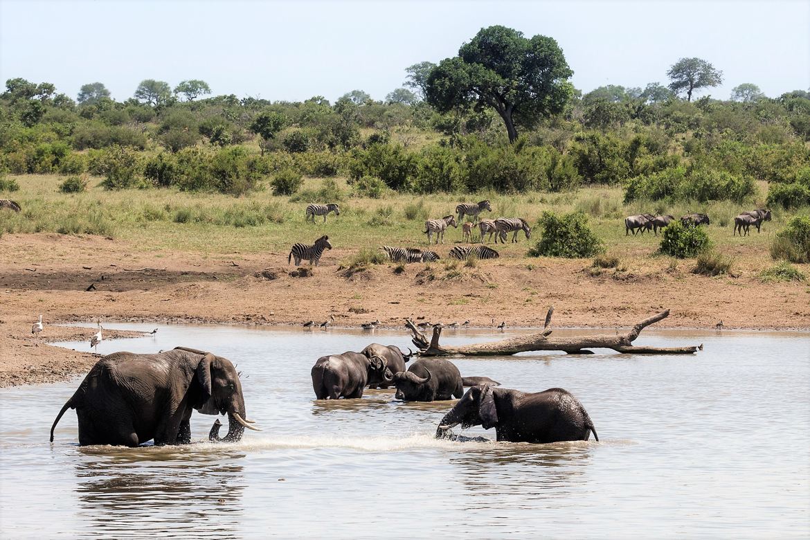 Scène africaine au point d'eau