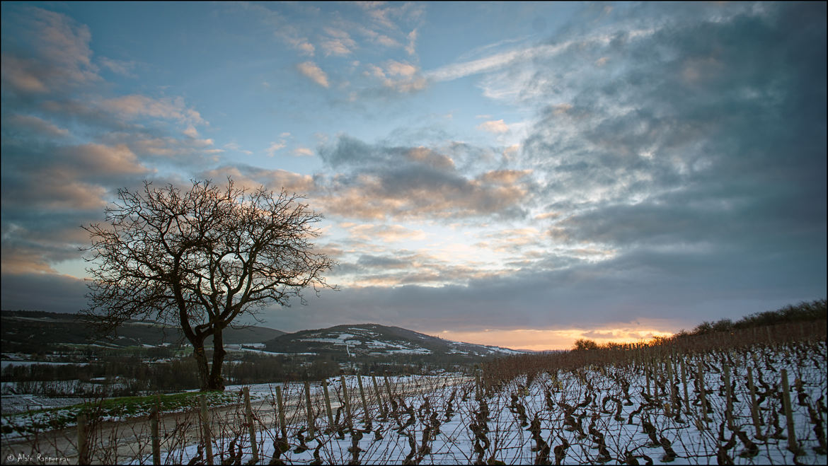 Santenay