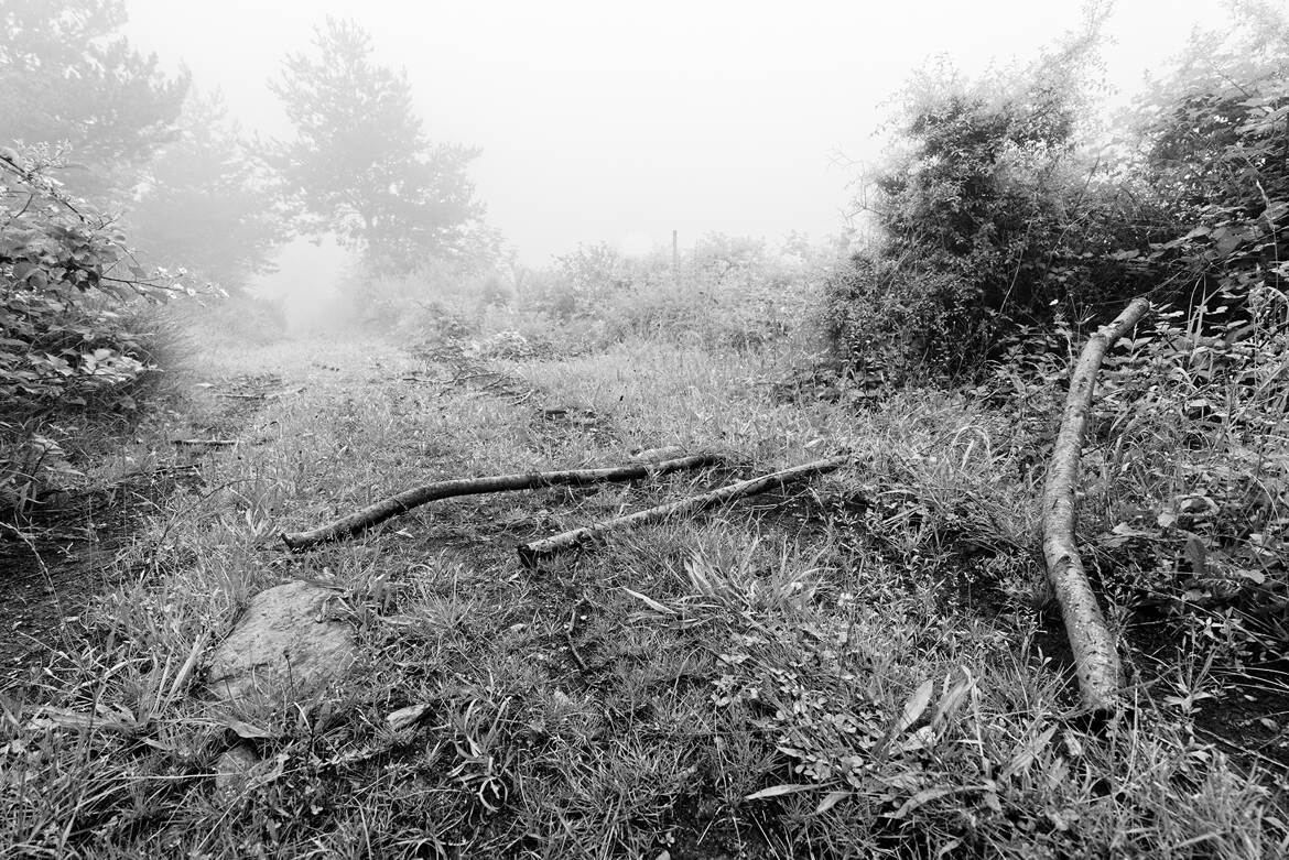 Les barrières tombent sur la brume des jours...